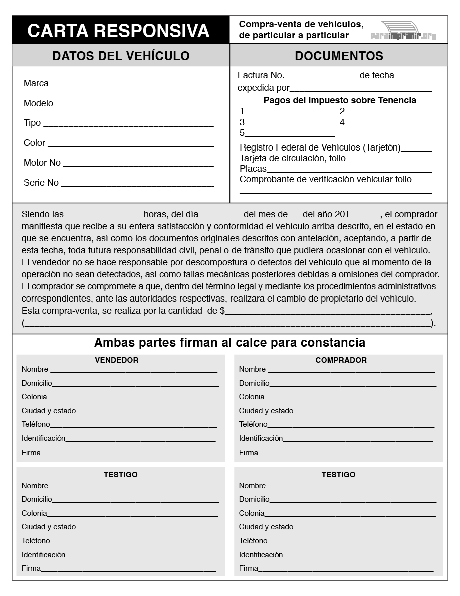 Formato de Carta Responsiva para imprimir en PDF 2023